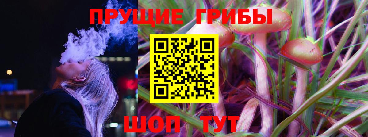 Кировск  Псилоцибиновые грибы Magic Shrooms  Вход с VPN 